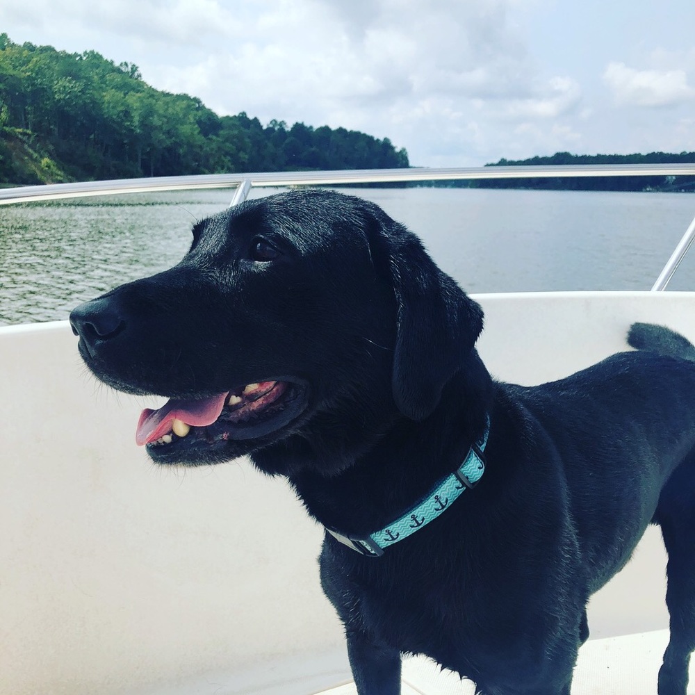 Meet your Posher, Marianna